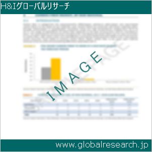 グローバルリサーチ調査レポートのイメージ